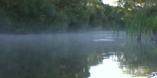 流动的反射河流，带有薄雾、芦苇和天空
