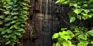 潮湿雨林中的小瀑布，4K影片素材