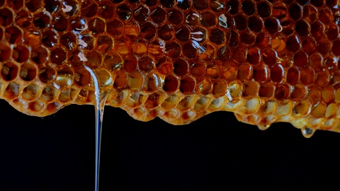 蜂蜜顺着蜂巢流下来。新鲜蜂蜜滴在背景上。视频素材模板下载