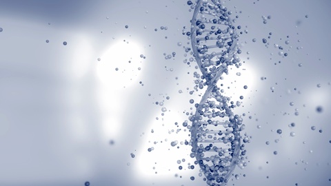 4K DNA 基因编辑概念