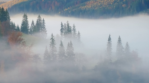 雾在山中移动时间流逝