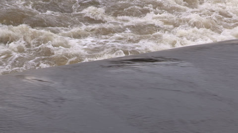 春季洪水条件下的湍急河流视频素材模板下载
