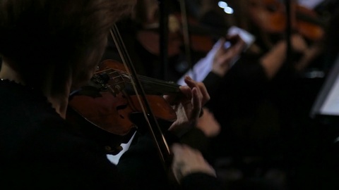 音乐家使用小提琴演奏的特写
