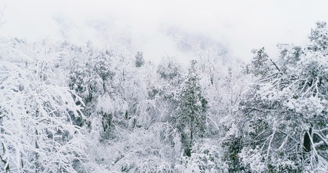 无人驾驶飞机在四川大雪覆盖的雾蒙蒙的山上飞行