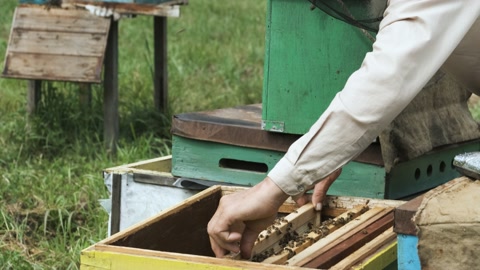 养蜂人在养蜂场工作。视频素材模板下载