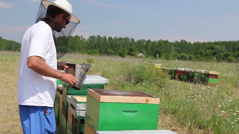 养蜂人，养蜂人拿着徒手蜂巢和蜜蜂视频素材模板下载
