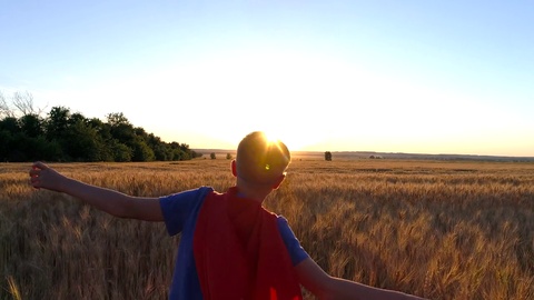 男孩在夕阳下的金色田野里奔跑