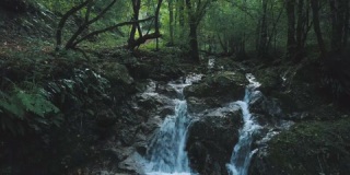 夏天森林里的小瀑布