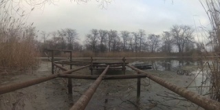阴天湖上芦苇环绕的旧木制废墟码头。