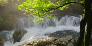 美丽的自然风景，带有小瀑布和背光中的绿树