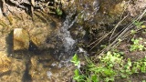 德国早春时节的小瀑布，带有流水声高清在线视频素材下载