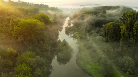 河流流经雾蒙蒙的森林和湿地鸟瞰