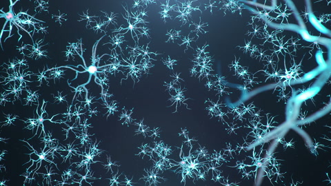 脑中的动画神经元突触和神经细胞发送电信号视频素材模板下载