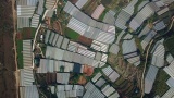 无人机顶部温室农业用地玻璃屋顶田野种植园山丘高清在线视频素材下载