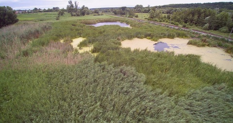 沼泽附近甘蔗芦苇田和火车轨道的无人机视图