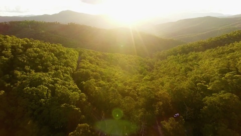 澳大利亚森林的阳光沐浴