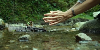 女人手触摸森林河流或湖泊中的水