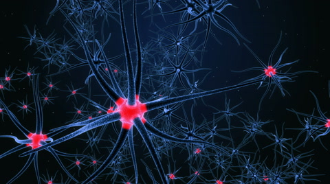 神经元细胞在大脑中发送脉动信号视频素材模板下载