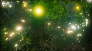 萤火虫在森林里飞翔视频视频素材模板下载
