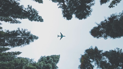 仰视拍摄飞机飞过森林慢动作