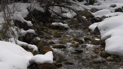 加拿大的荒野，山中的小溪，初春的冰雪融水视频素材模板下载