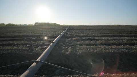 农田灌溉系统。节水滴灌系统