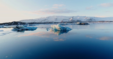 鸟瞰浮冰上的海豹慢镜头