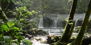 绿色丛林中隐藏着小瀑布的美景。