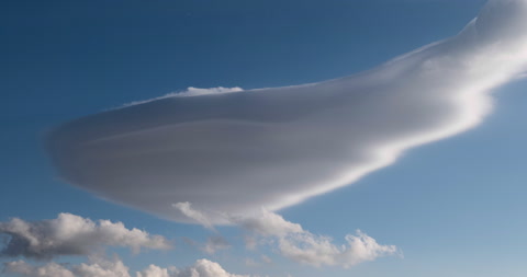 蓝天中的鲸鱼状的积云