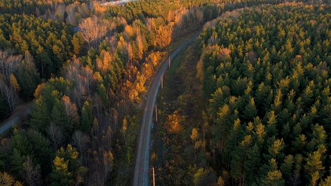 鸟瞰日落时的森林公路