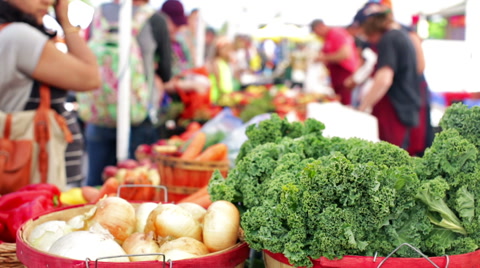 科罗拉多州帕克大街上的夏季农贸市场。