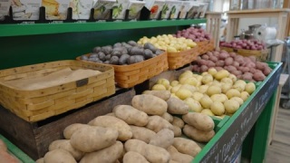 杂货店里陈列的土豆。有机土豆在视频素材模板下载