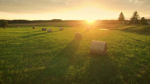 慢镜头拍摄早晨的草原