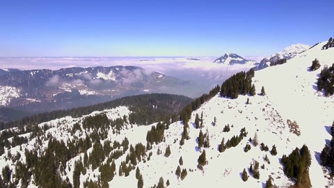 瑞士苏黎世阿姆登的山脉和松树的无人机镜头视频素材模板下载