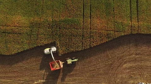 玉米收割机的航拍视频
