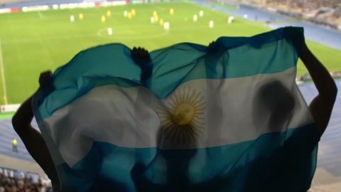 举着阿根廷国旗的足球迷在看台上跳跃，为自己心爱的球队欢呼加油