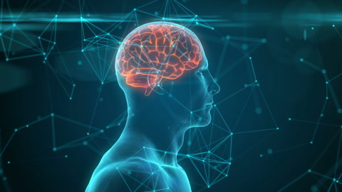 神经元活动。蓝色概念人脑的3d动画。视频素材模板下载