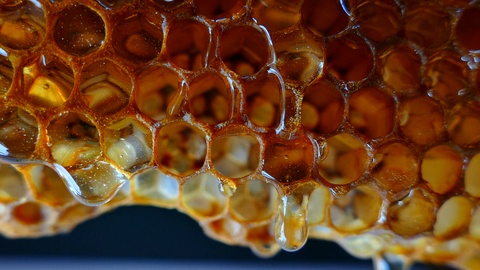 蜂蜜顺着蜂巢流下来。新鲜蜂蜜滴在背景上。视频素材模板下载