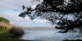广阔泻湖的景色，前景是树木和芦苇。