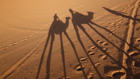 沙漠上的骆驼队投下了美丽的阴影