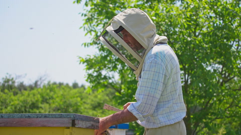 拿着收集蜂胶的仪器的养蜂人和吸烟者。视频素材模板下载