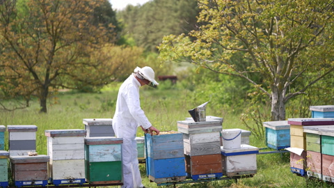 穿着制服的男性养蜂人正在蜂箱田地上工作养蜂工人视频素材模板下载