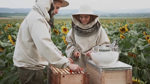 养蜂场或农场慢动作工人生产健康有机食品视频素材模板下载