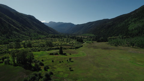 2022年科罗拉多州绿色植物的航拍镜头视频素材模板下载