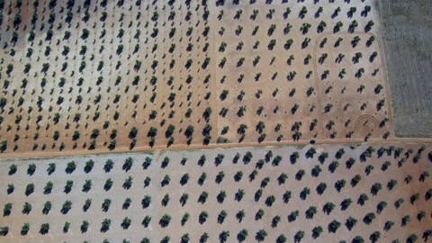在西班牙安达卢西亚的哈恩，橄榄田空中无人机视频视频素材模板下载