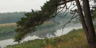 河面上的晨雾