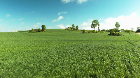 无人机拍摄的绿色田野