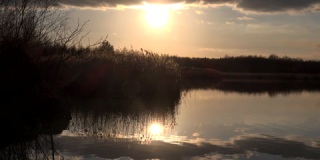 背景芦苇和阳光反射的水自然英国4K