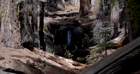 塞奎亚国家公园国会小径旁的小瀑布