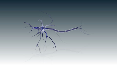 神经元的结构。视频素材模板下载